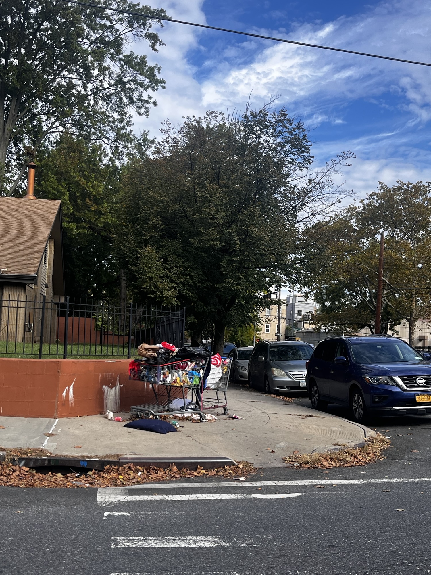 Two Shopping Carts