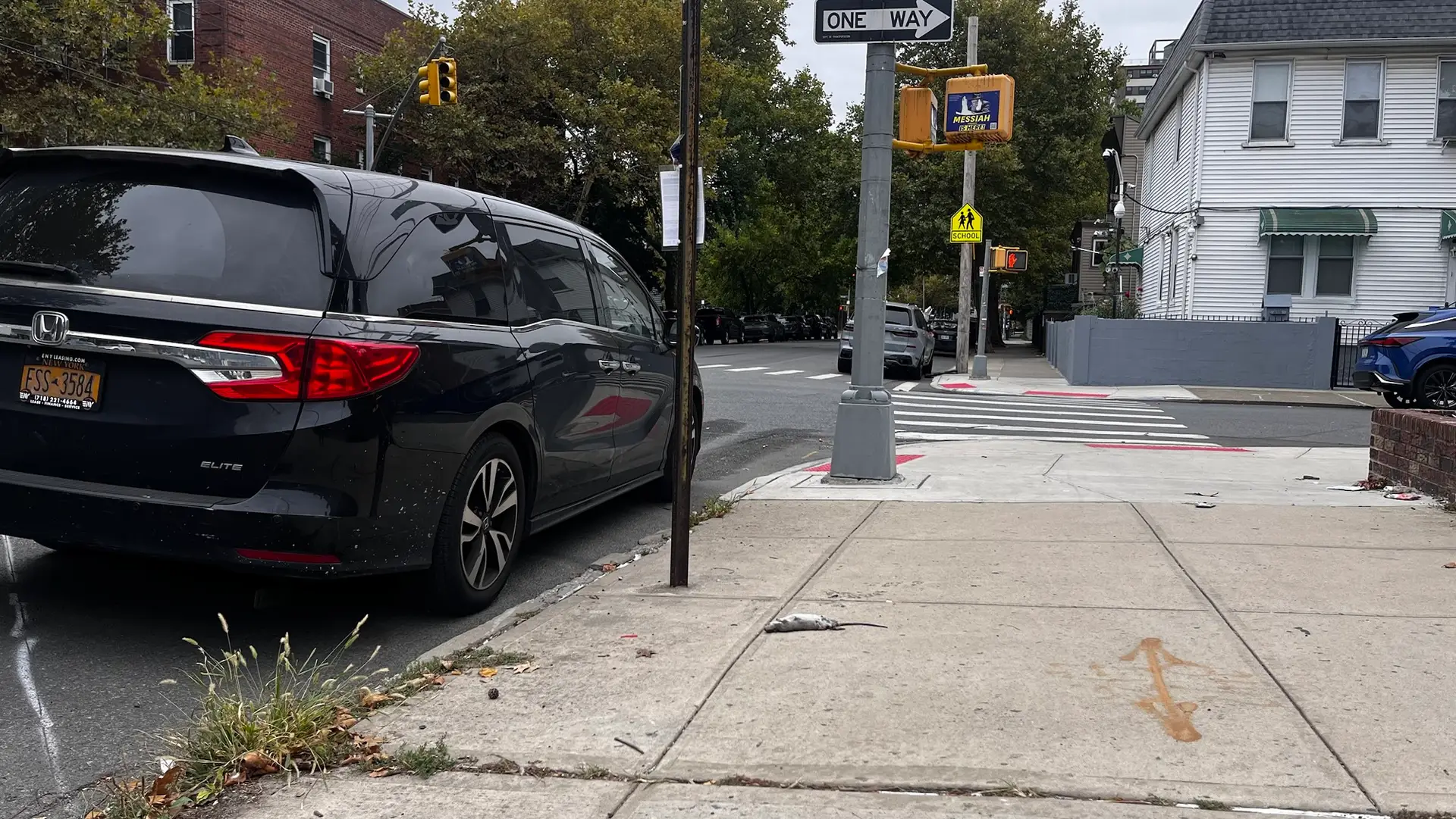 Brooklyn Scene