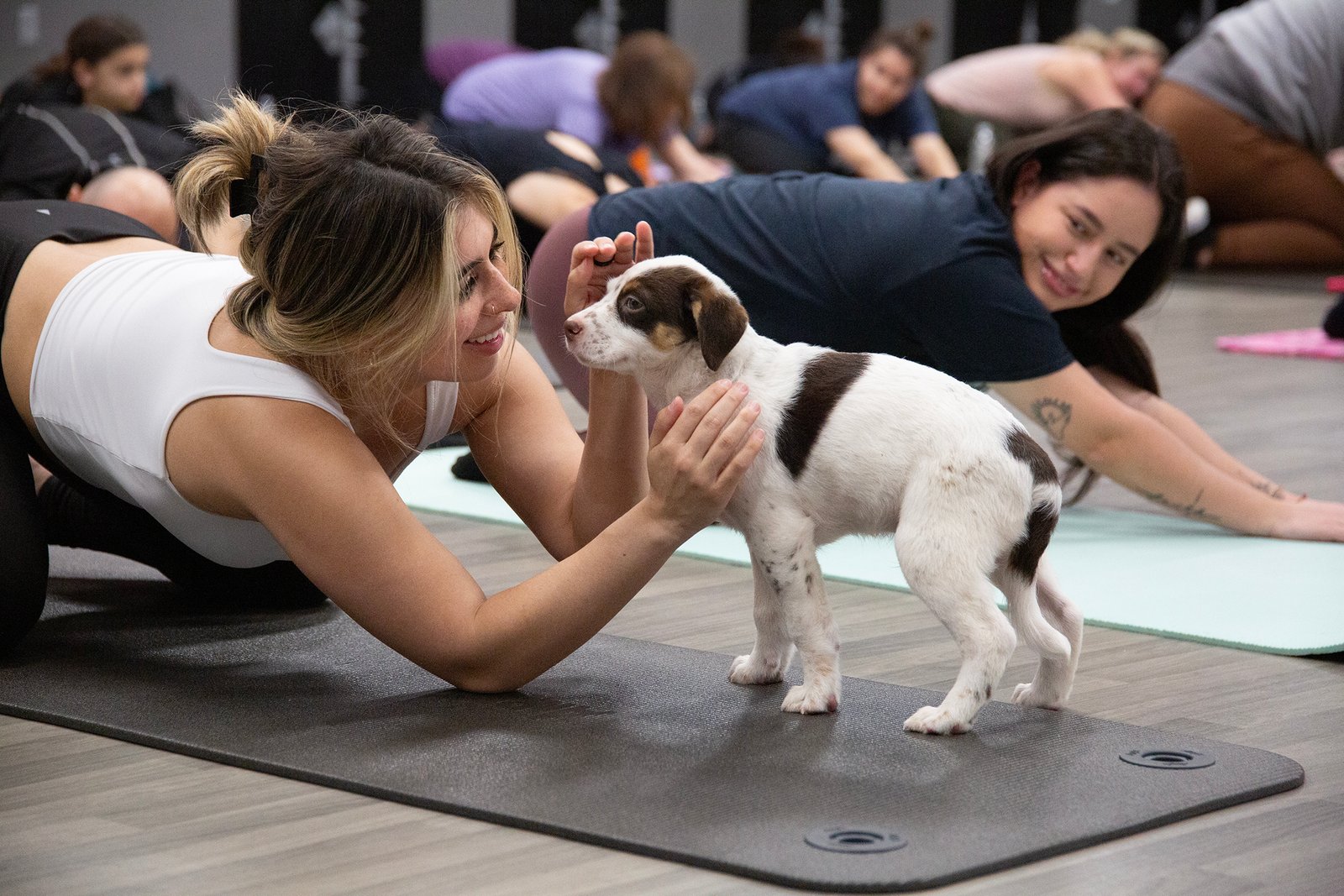 woman in child's pose strokes puppy's head while another attendee smiles at them
